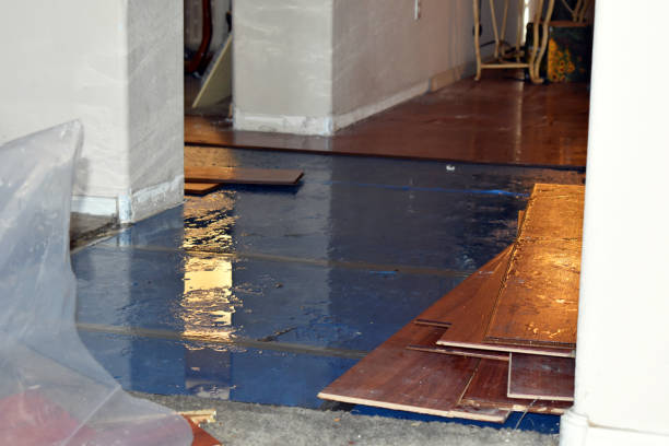 Professional Basement Flooding technician working in University Center, VA